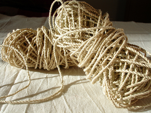 4864147904 ecfd6f556a